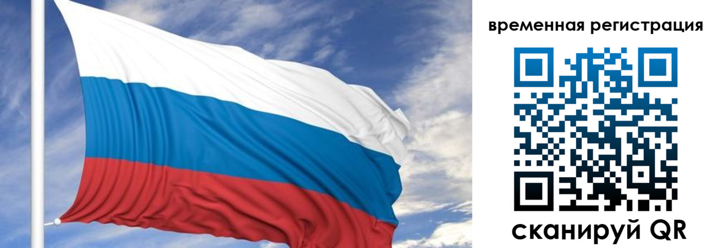 где прописаться в Светлогорске